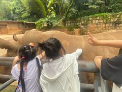 -昆明动物园