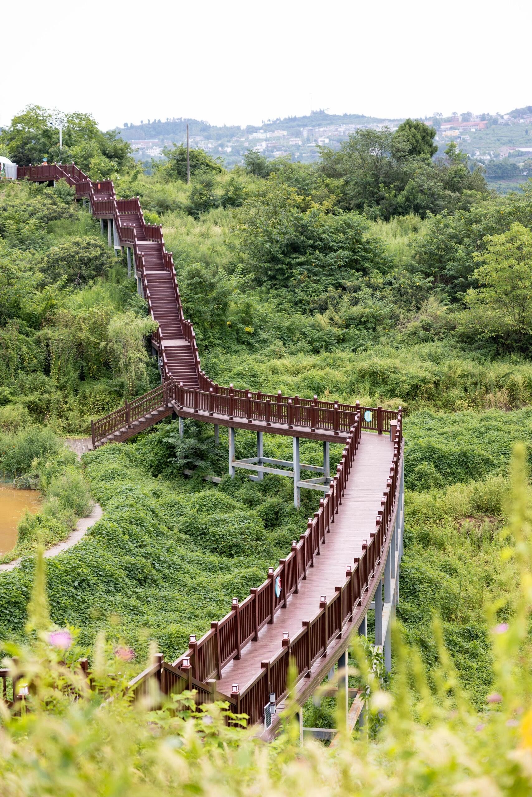 成都近郊0.5h🍃公交直达的初秋登山步道!