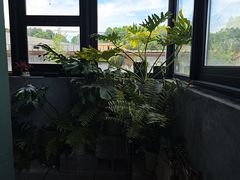 -旅顺博物馆