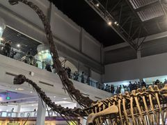 -自贡恐龙博物馆