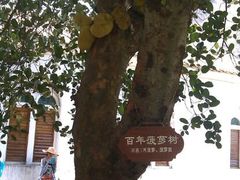 android_upload_pic-涠洲岛-圣母堂