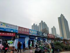 -秦美花卉(天朗·莱茵小城2期店)