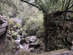 -青城山