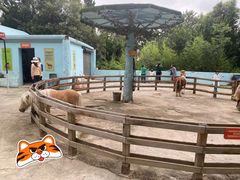 -昆明动物园