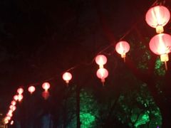 -西樵山风景名胜区-天湖公园