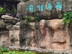 -深圳国际园林花卉博览园