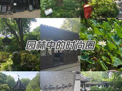 -上海醉白池公园
