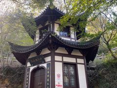 -上海佘山国家森林公园西佘山园