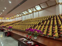 -龙口南山旅游景区