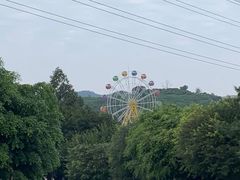 -水濂山森林公园