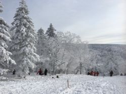 -大秃顶子山