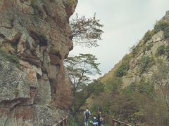 -青峰峡国家森林公园