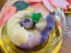 -上海德星奔驰(江杨南路店)