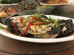 -顺峰渔港中国人的餐厅