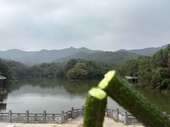 -敬亭山风景名胜区