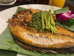 -紫滇源云南生态菜(丹凤街店)