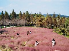 -下渚湖国家湿地公园科普馆