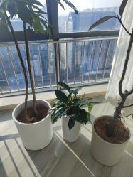 -HEYAN荷妍专业脱毛连锁机构