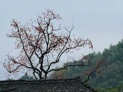 -丹山赤水风景名胜区