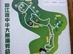 -都江堰中华大熊猫苑