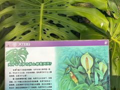 -中国科学院西双版纳热带植物园