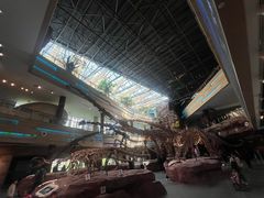 -安徽省地质博物馆