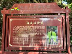 -清溪大王山森林公园