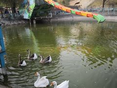-北京鹿世界主题园