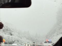 -武陵山森林公园