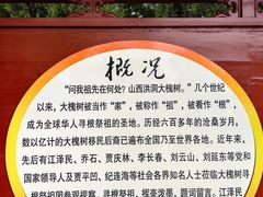 -大槐树寻根祭祖园