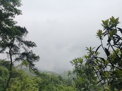 -缙云山景区