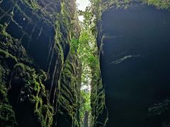 -梭布垭石林景区