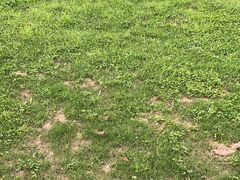 -幕燕滨江·燕子矶公园