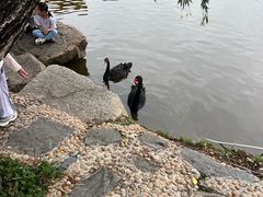 -珠海圆明新园