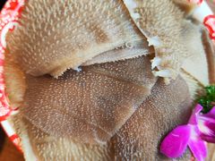 -楠火锅(仁恒梦中心店)