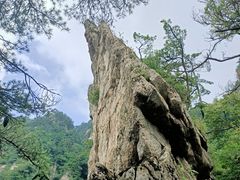 -王顺山国家森林公园