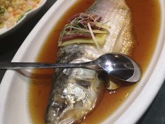 -渔堂公园餐厅·本帮菜(乐园路店)