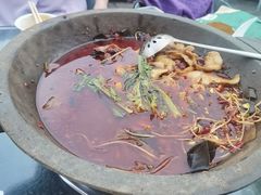 -都江堰石锅鱼