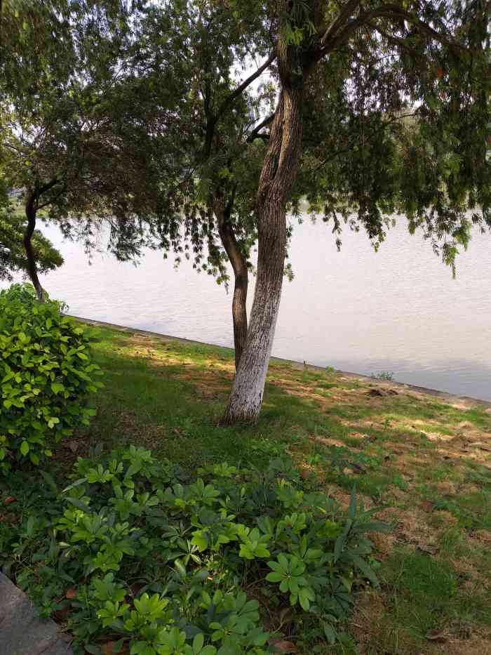 怡海公园-"沿河而建的一个公园.偶然路过,在江边一."-大众点评移动版