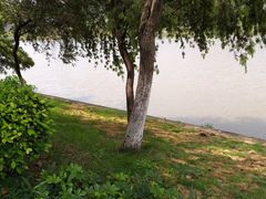 -怡海公园(桂城街道)