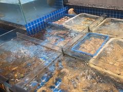 -雾·江·鲜建德菜
