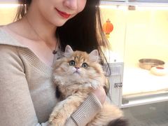 -lincat·猫舍(广州店)