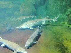 -福州罗源湾海洋世界旅游区