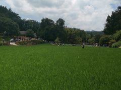 -韶山毛泽东同志故居