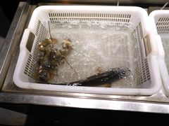 -沈家门海鲜夜排档(东港店)