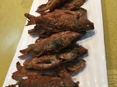 -小北江河鲜(新城店)