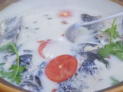 -全乐鱼馆·淳牌有机鱼直营店