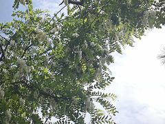 -葛子涧农家宴