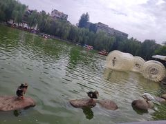 -莲湖公园