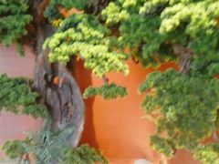 -阿伟海鲜楼·福建菜(延寿店)